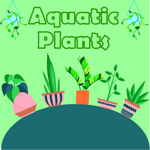 Aquatic Plants