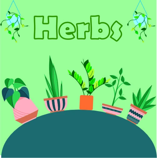 Herbs