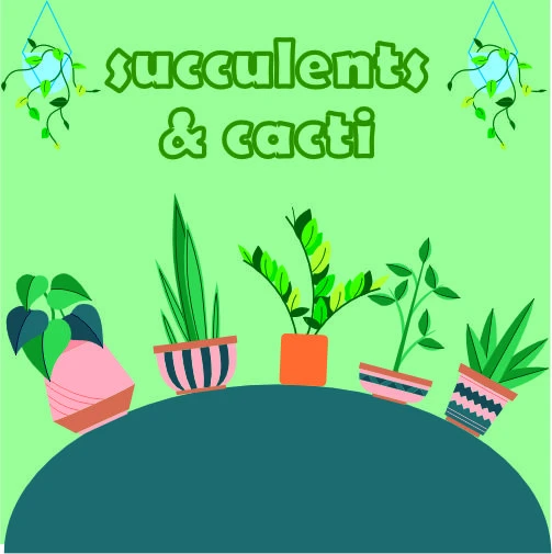 Succulents & Cacti