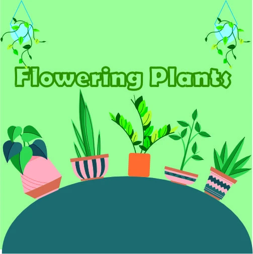 Flowering Plants